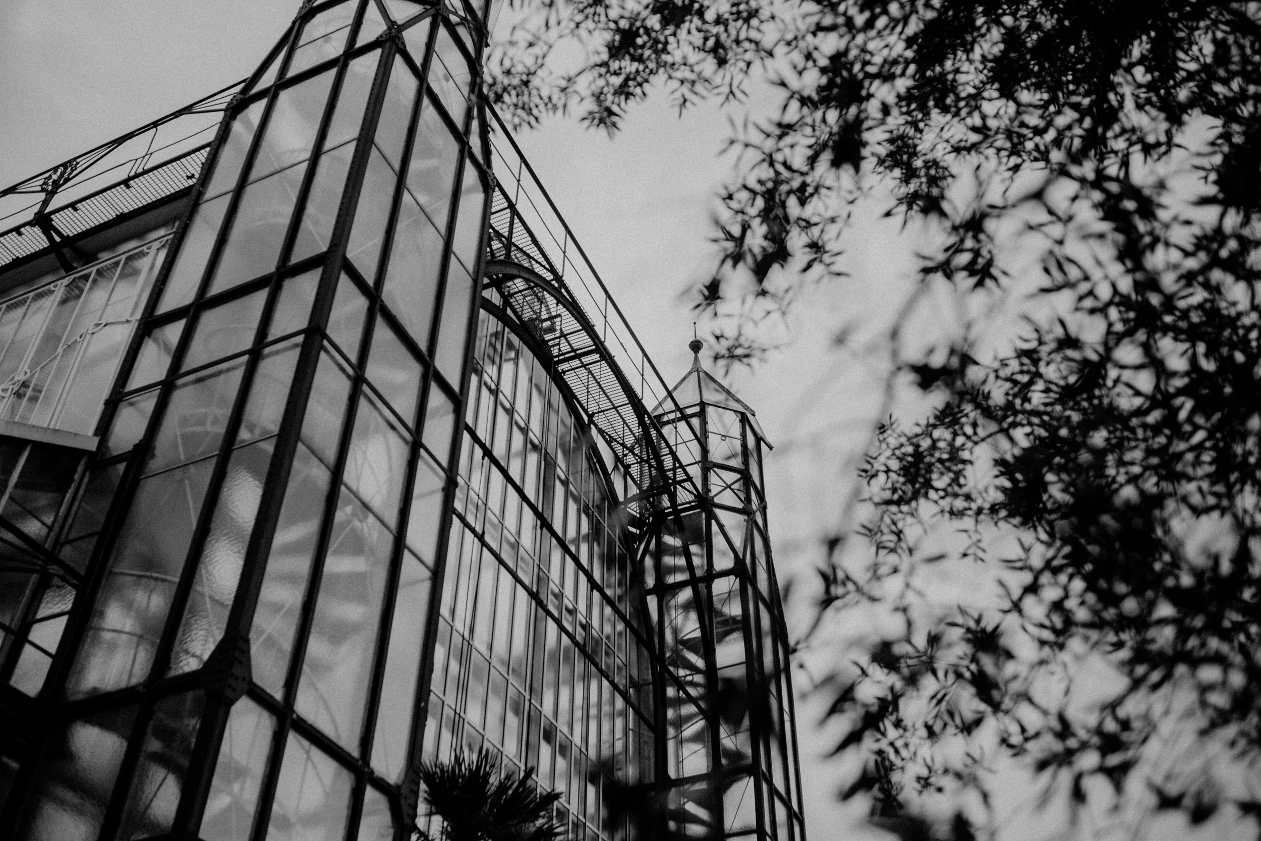 Herr von Lux Hochzeitsfotograf Potsdam Hochzeit Botanischer Garten Berlin