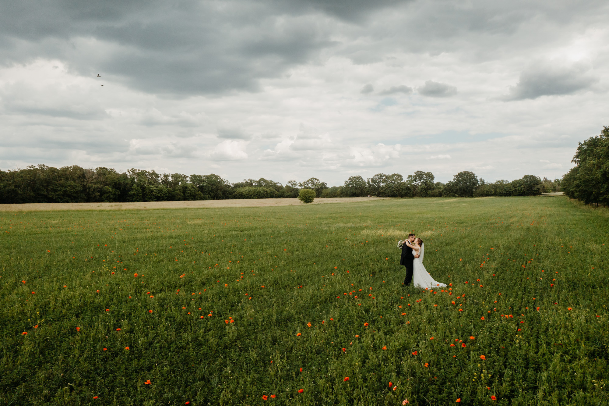 Hochzeitsfotos Potsdam und Berlin Herr von Lux Hochzeitsfotograf Potsdam Hochzeit Neuer Garten