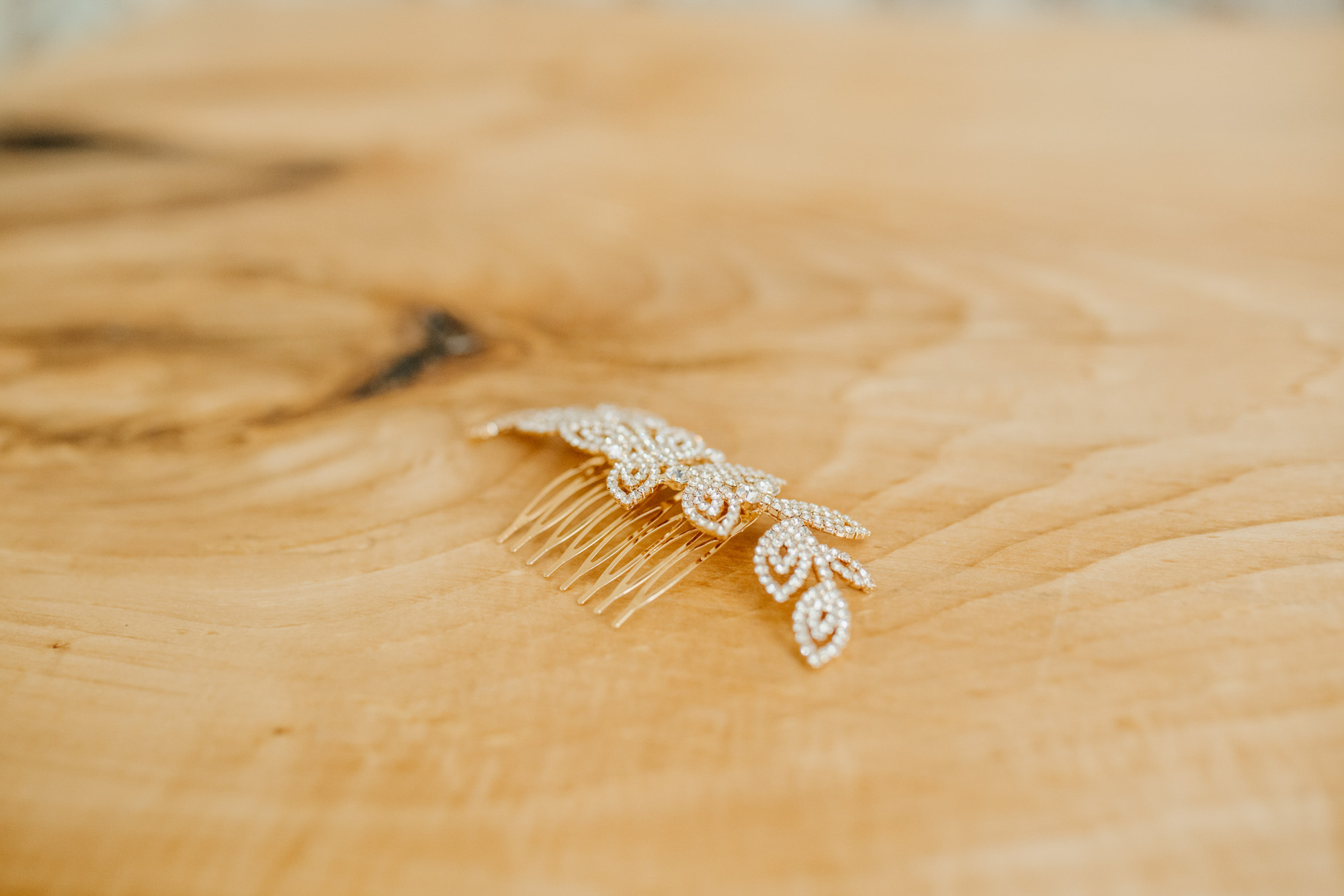 Herr von Lux Hochzeitsfotograf Potsdam Hochzeit Villa Arnim