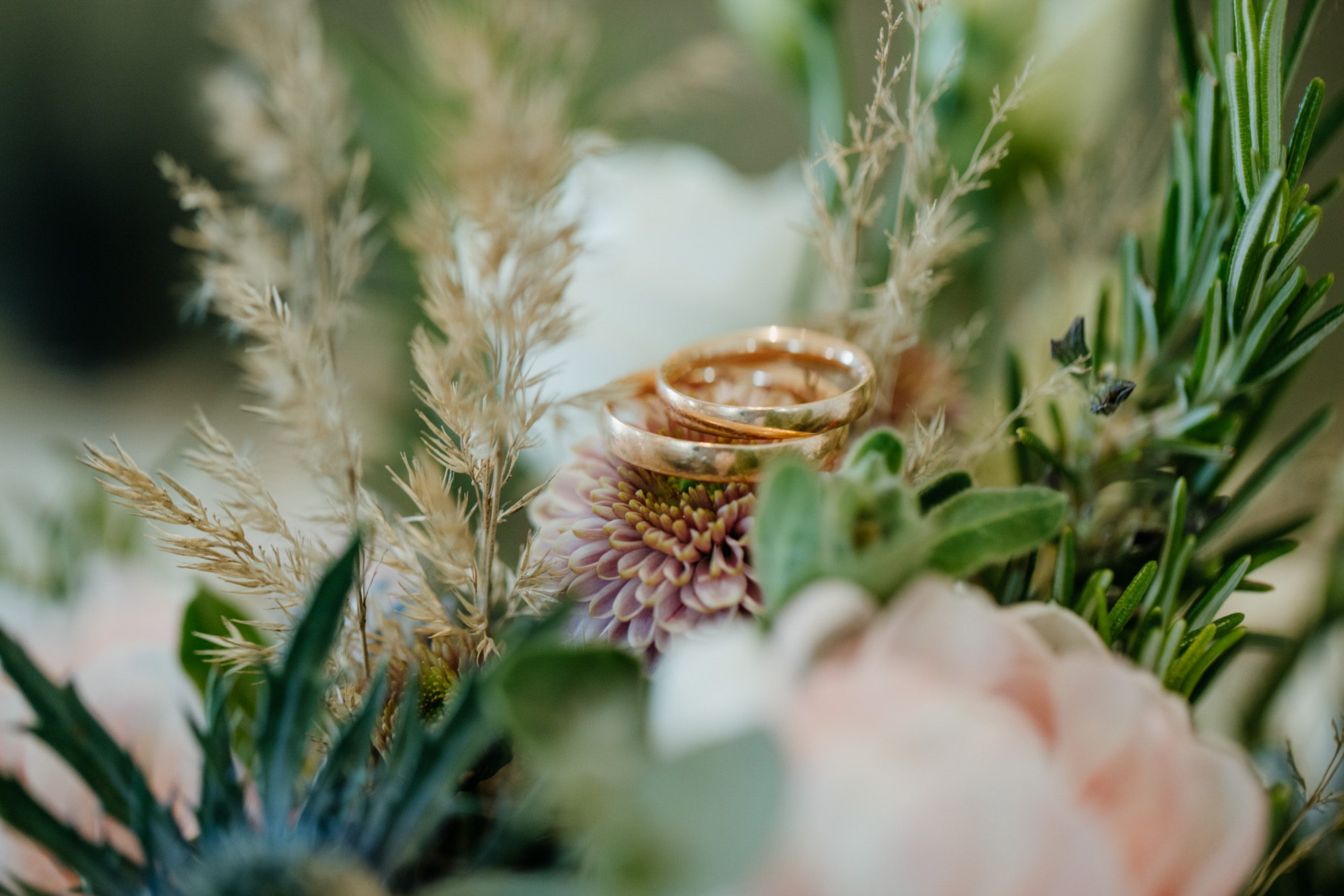 Herr von Lux Hochzeitsfotograf Potsdam Hochzeit Schloss Biesdorf Berlin